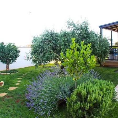 Apartmán Lila Novigrad Istria
