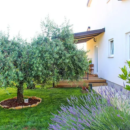 Lila Daire Novigrad Istria