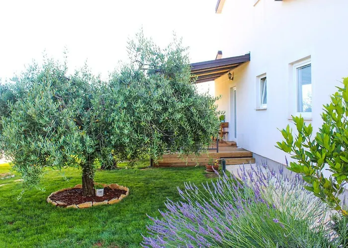 Lila Apartman Novigrad Istria