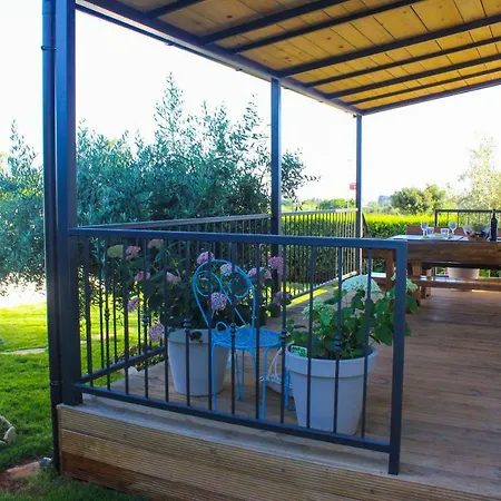Apartament Lila *