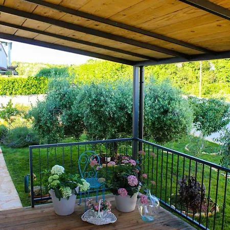 Appartement Lila Novigrad Istria